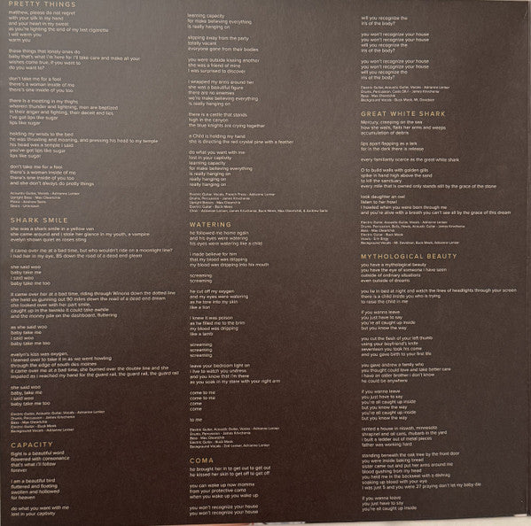Big Thief : Capacity (LP, Album, RE, Eco)