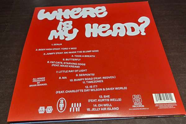 Rich Brian : Where Is My Head? (2xLP, Cry)
